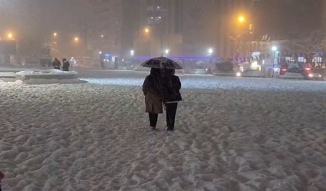 Diyarbakır'da kar yağışı (4)