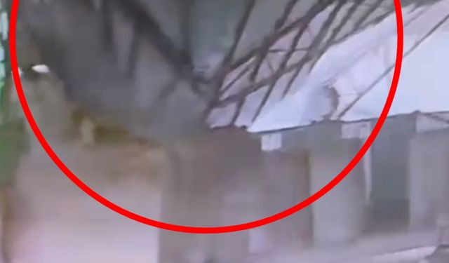 Diyarbakır'da kar yağışı (5)