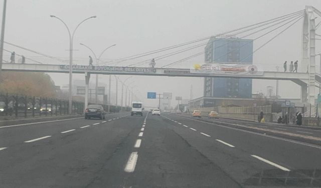 Diyarbakır'da sis ulaşımı olumsuz etkiledi