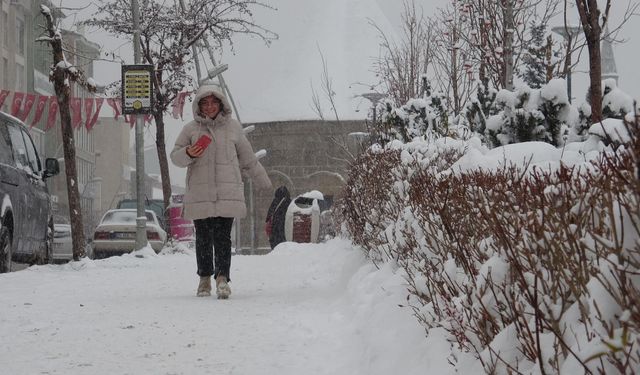 Doğu buz kesti; 2 ilçe eksi 25 dereceyi gördü