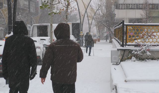 Doğu ve Güneydoğu'da kar etkili oldu