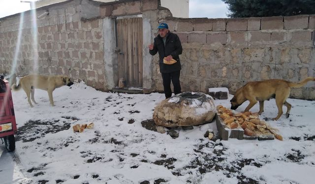 Hayvanlara yaz-kış su ve ekmek taşıyor