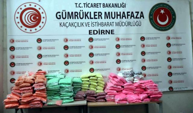Kapıkule'ye gelen TIR'daki 591 kilo uyuşturucuyu 'Bodri' buldu