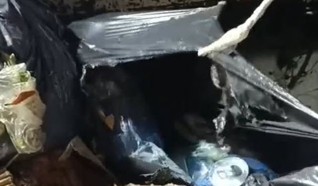  Konteyneri boşaltırken gördükleri ağzı bağlanmış poşetteki kediyi kurtardılar