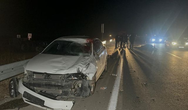 Malatya'da kaçan yarış tayları bulundu