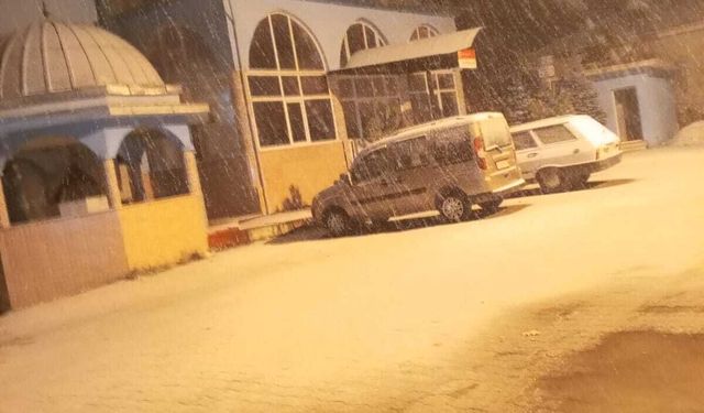 Manisa'da kar yağışı etkili oldu