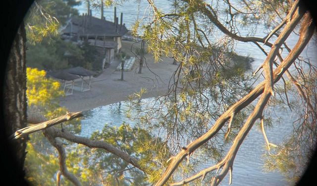 Muğla'da İHA ve helikopter destekli operasyonda 23 şüpheli yakalandı