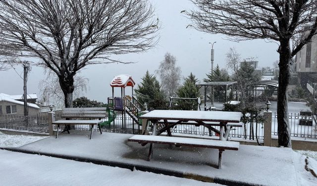 Ordu'da eğitime 'kar' engeli