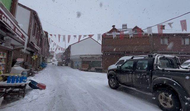 Ordu'nun yüksek kesimlerinde kar yağışı