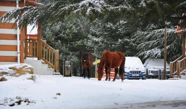 Spil Dağı, beyaz örtüyle kaplandı/Ek fotoğraflar