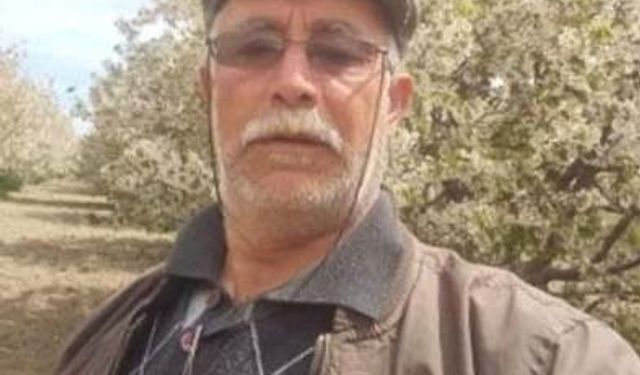 Yangında annesini kurtarmak isterken  öldü 