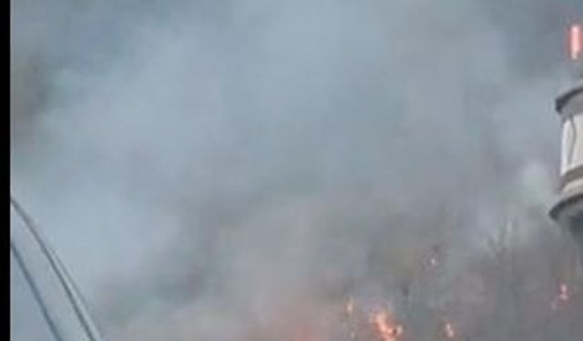 Anız yangınında dumandan etkilenip öldü