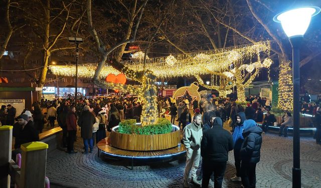 Ankara'da yeni yıl coşkuyla kutlandı (2)