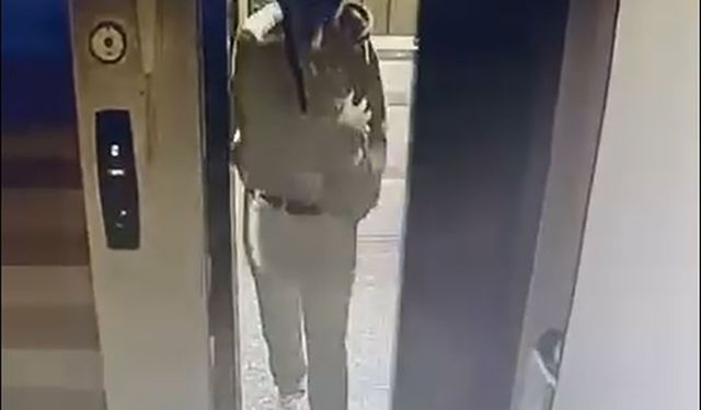 Asansöre idrarını yapıp kuşlarını çalan şüpheliye seslendi: Güvercinlerimi geri getir