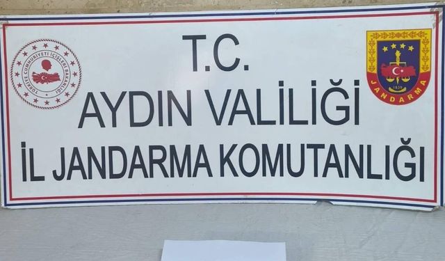 Aydın'ın iki ilçesinde 'Anadolu Mirası' operasyonu; Çok sayıda tarihi eser ele geçirildi