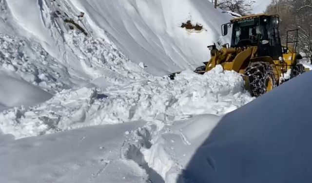 Batman'da yolu kardan kapanan 333 yerleşim yeri yolundan 158'i açıldı