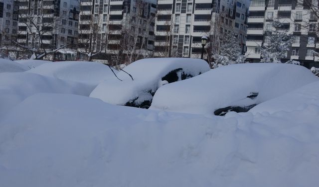 Bitlis'te 1,5 metreyi aşan karda araçlarını bulmakta zorlandılar