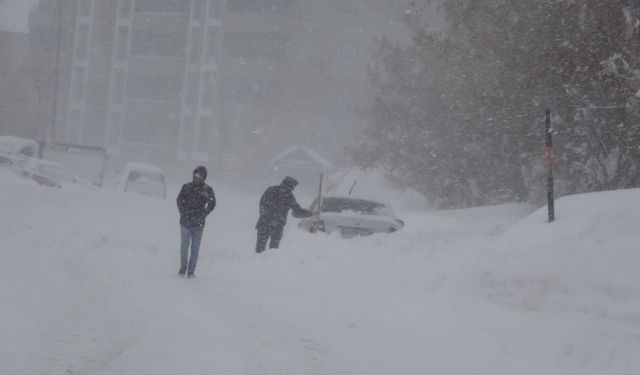Bitlis'te kar hayatı durma noktasına getirdi (2)