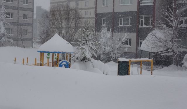 Bitlis'te kar hayatı durma noktasına getirdi