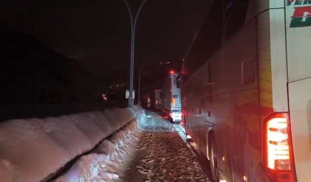 Bitlis'te seyir halindeki yakıt tankeri üzerine çığ düştü; sürücü sağ kurtarıldı (3)