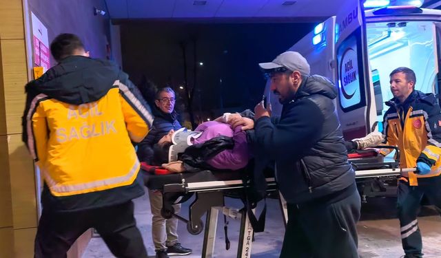 Bursa'da minibüsünün çarptığı anne ile kızı yaralandı