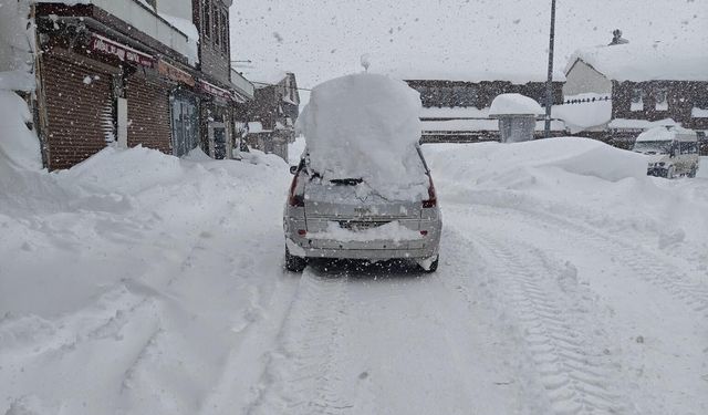 Çambaşı Yaylası'nda kar kalınlığı 2 metreye ulaştı, araçlar kar altında kaldı