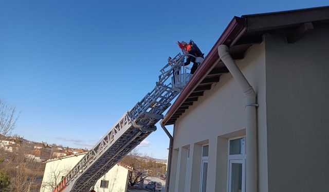 Çatıda mahsur kalan kediyi itfaiye kurtardı
