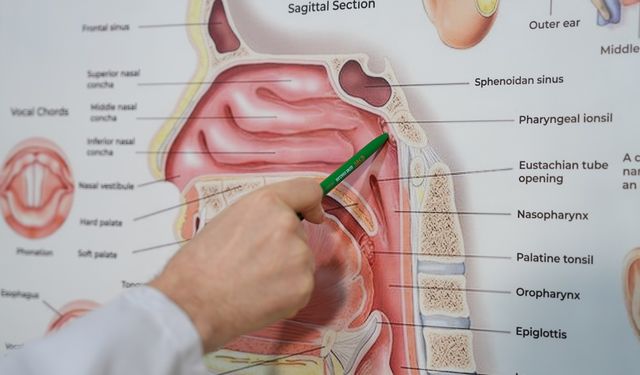 'Çocuklarda tekrarlayan kulak iltihabı veya geçmeyen öksürüklerin sebebi geniz eti olabilir'