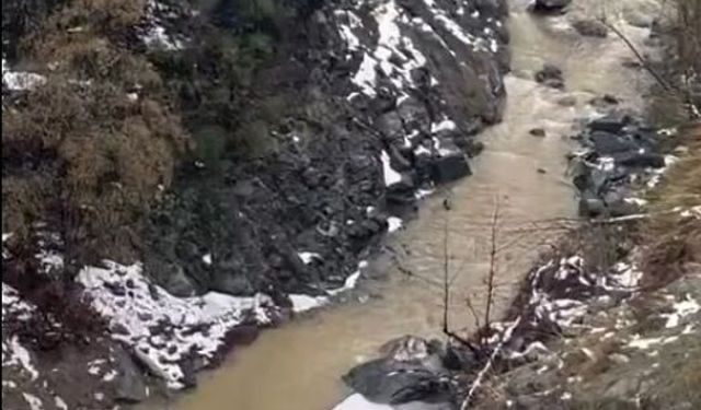 Dereye uçan otomobilden son anda atlayarak kurtuldu