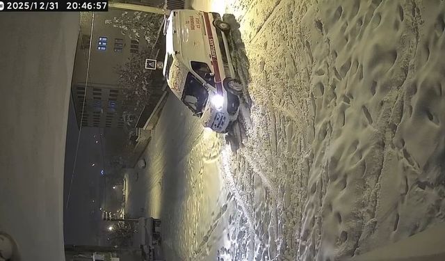 Diyarbakır'da kar esareti (2)