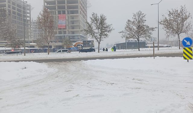 Diyarbakır'da kar esareti (3)