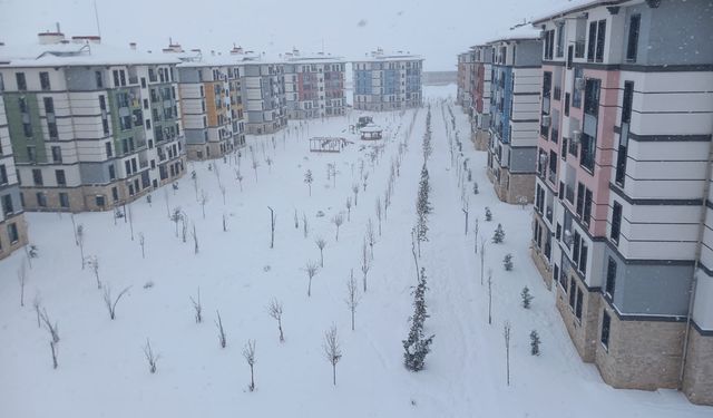 Diyarbakır'da kar esareti