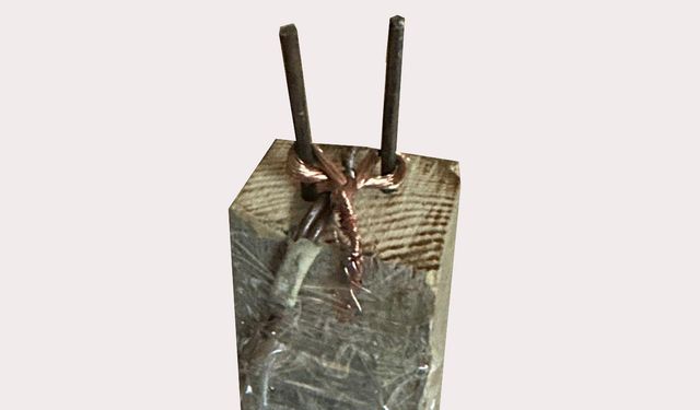 Elektrikli tuzak davasında karar; 'Birçok insanı elektrik çarpar ama ölmezler' dedi, 13 yıl hapis aldı