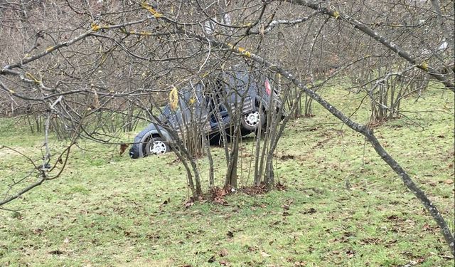 Hafif ticari araç, fındık bahçesine yuvarlandı: 1 ölü, 2 yaralı
