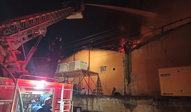 Hatay'da paketleme tesisinde yangın; 1 işçi öldü