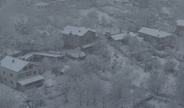 İstanbul- Beykoz ve Başakşehir'de kar yağışı havadan görüntülendi