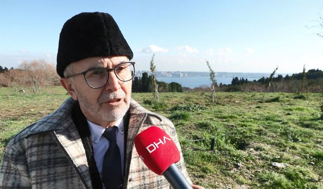 İstanbul- Profesör, koç saldırısını değerlendirdi: Ya oyun ya da içgüdüsel olarak saldırganlık sanıyor