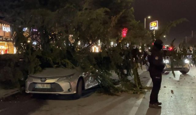 Kayseri'de kuvvetli fırtınada otomobilin üzerine ağaç devrildi