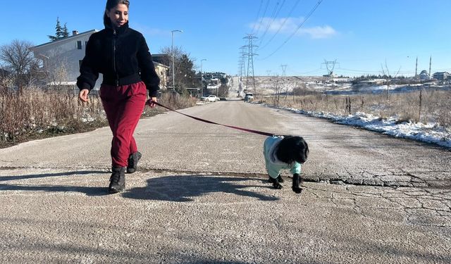 Kliniğine terk edilen köpeği sahiplendi