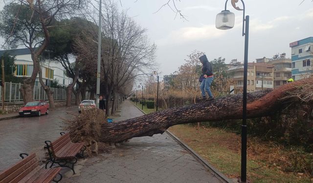 Manisa'da kuvvetli rüzgar nedeniyle çatılar uçtu, ağaçlar devrildi; 1 yaralı / Ek fotoğraflar
