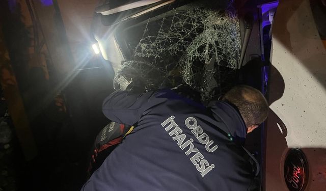 Ordu'da çöp kamyonu devrildi; 1 yaralı