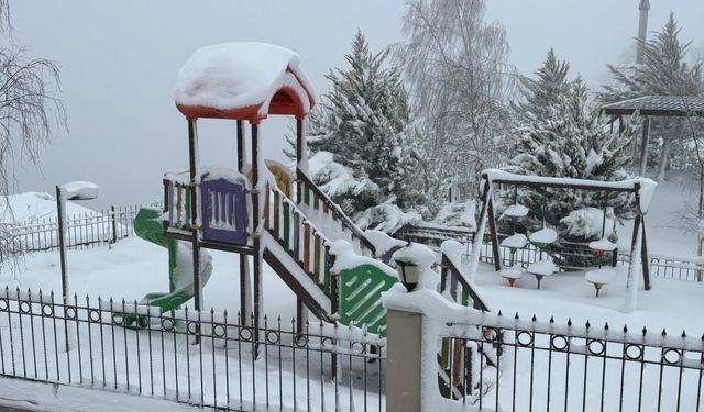 Ordu'nun Akkuş ilçesinde eğitime kar engeli