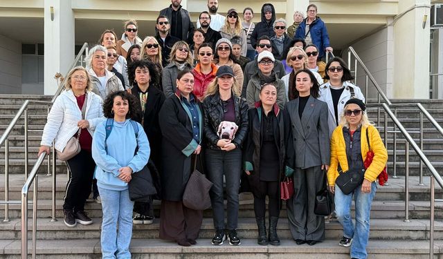 Otomobilin çarptığı köpek Çinko'nun sahibi: Tüm zulüm gören hayvanlar için emsal karar bekliyoruz