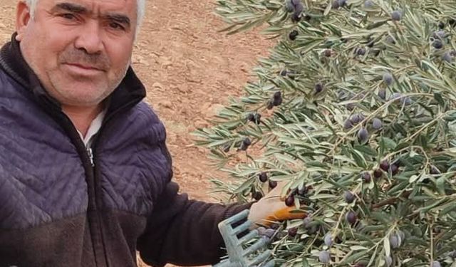 Oturduğu binada asansör boşluğuna düşüp öldü