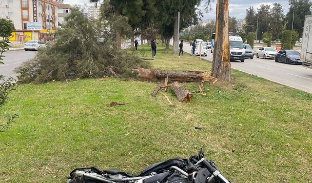 Refüje çarpan motosikletin sürücüsü öldü