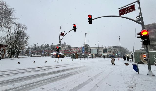 Sakarya'da vatandaşlar, yeni yıla karla uyandı