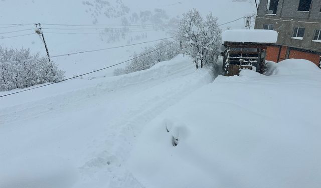 Şırnak'ta 20 köy yolu kardan kapandı, eğitime ara verildi (4)