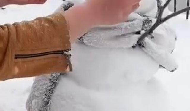 Soğuktan etkilenen buzağıyı evine getirip, fön makinesi ile kuruttu