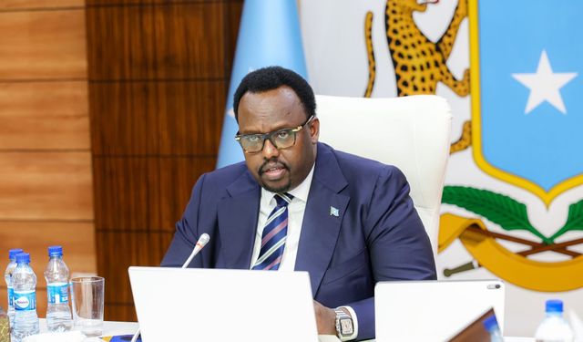 Somali, BAE ile güvenlik ve savunma alanındaki tüm anlaşmaları feshetti