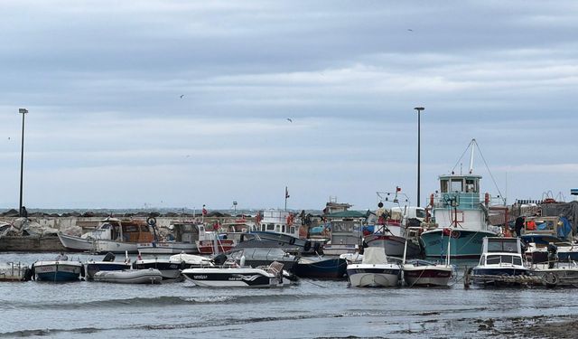 Tekirdağ'da karaya oturan kuru yük gemisinde inceleme yapıldı